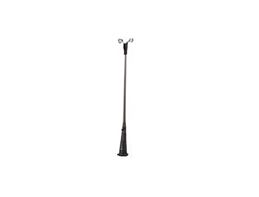 pole lights